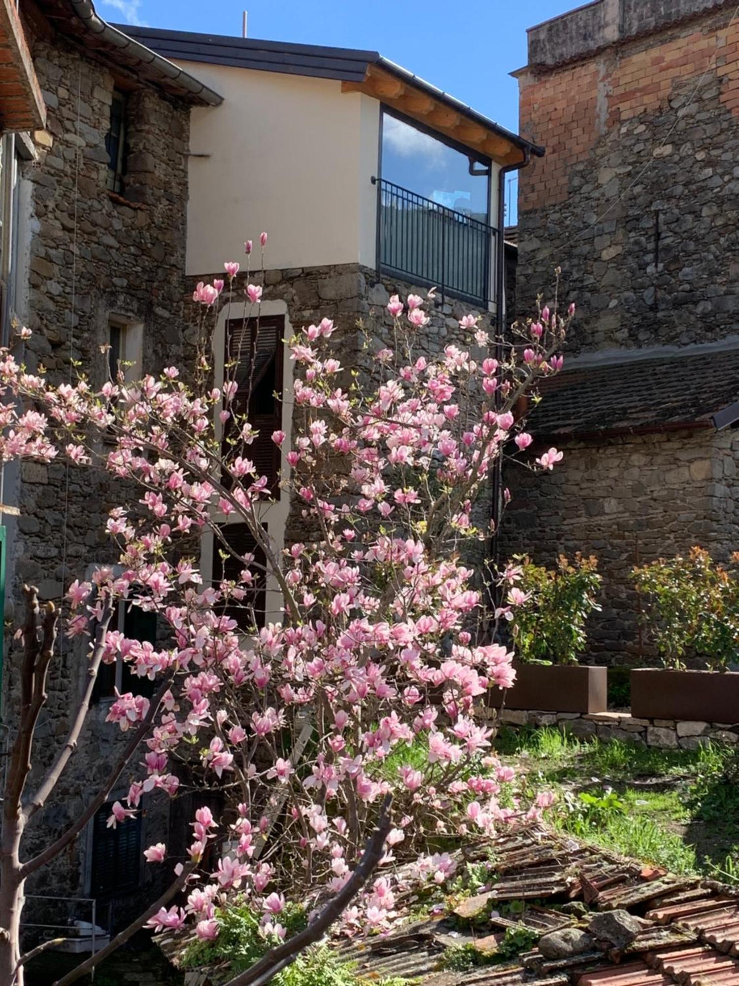 Villa Vicolo Rosso 2 Dolceacqua Exterior foto